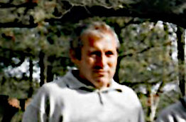 Бајевић, Бранко