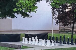 Велики шах у Богатићу
