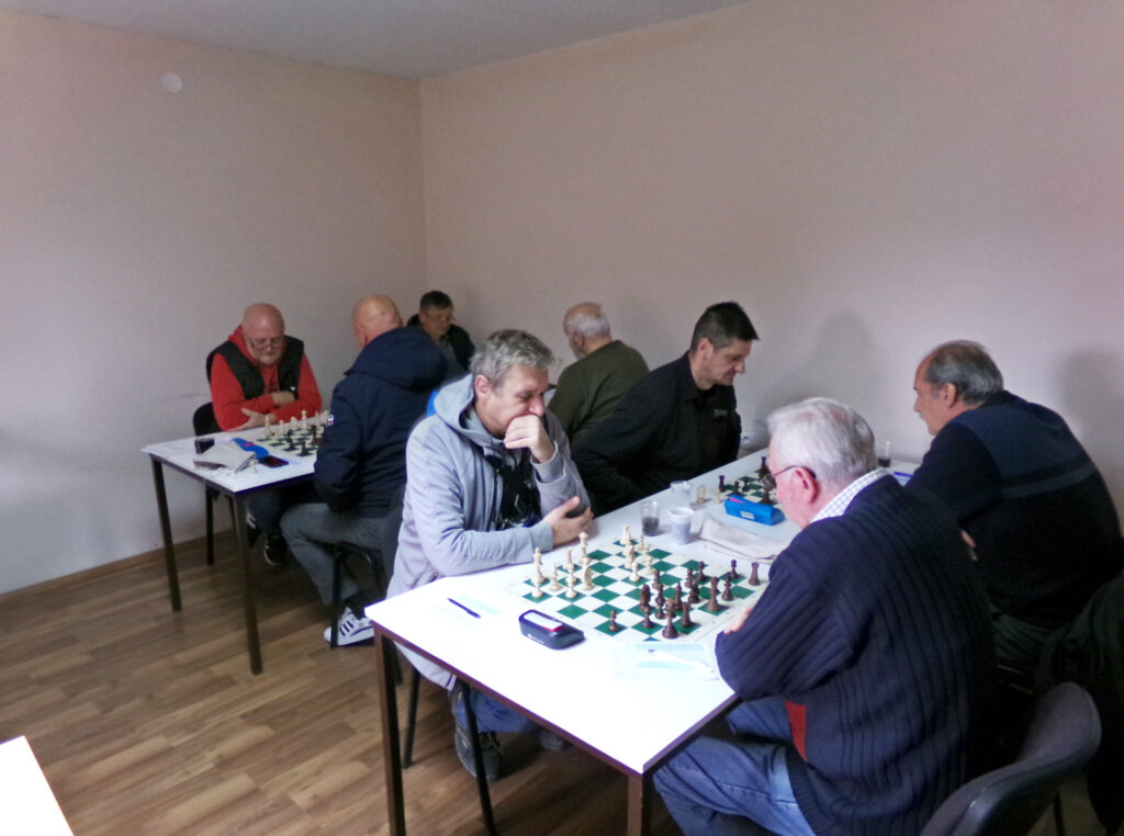 мајур-шабачкикраљ