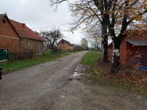 Пејиновић, центар