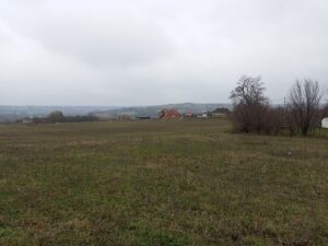 Пејзаж Пејиновића